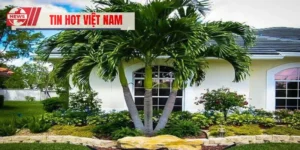 Trồng Cây Phong Thủy Trước Nhà Theo Tuổi Mang Lại Vượng Khí